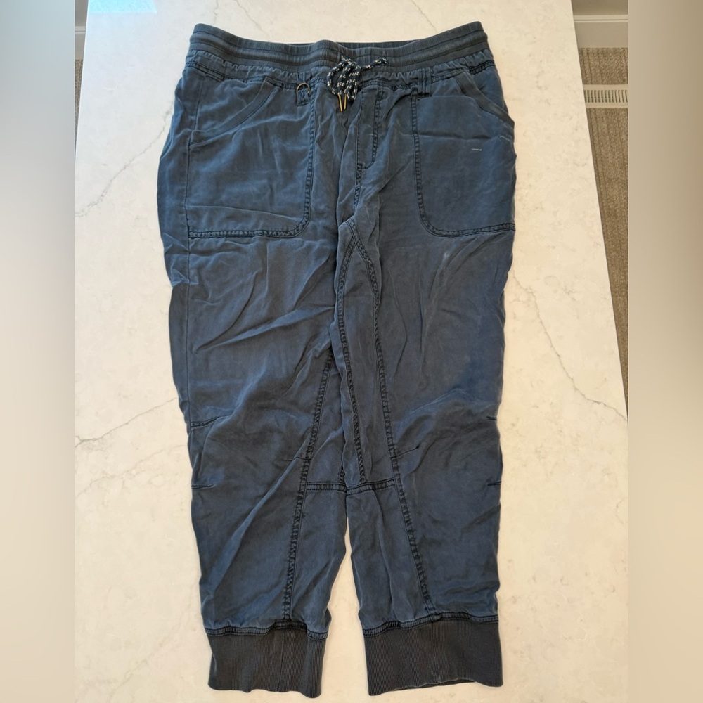 Anthropologie Pilcro Pants - Blue - Women’s Size XL